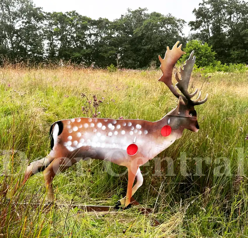 Deer stalking in Surrey with Deer Central