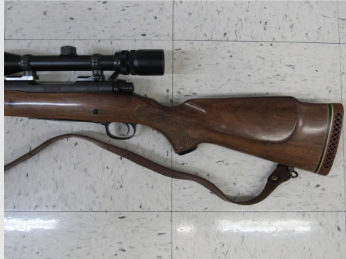 Gun_Image