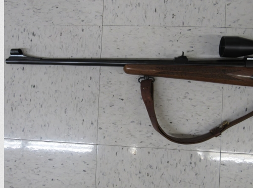DEFAULT_GUN