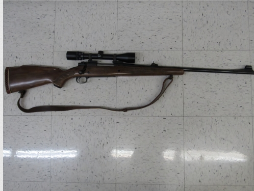Gun_Image