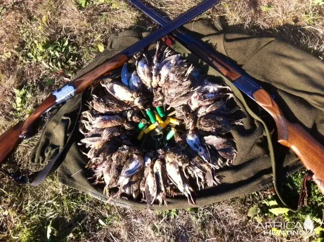 Gun_Image