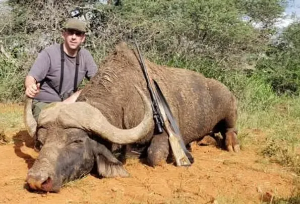 Limpopo big game safaris