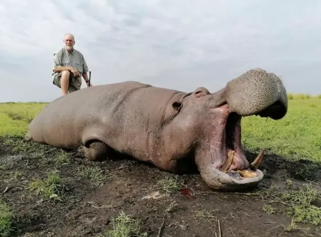 Limpopo big game safaris