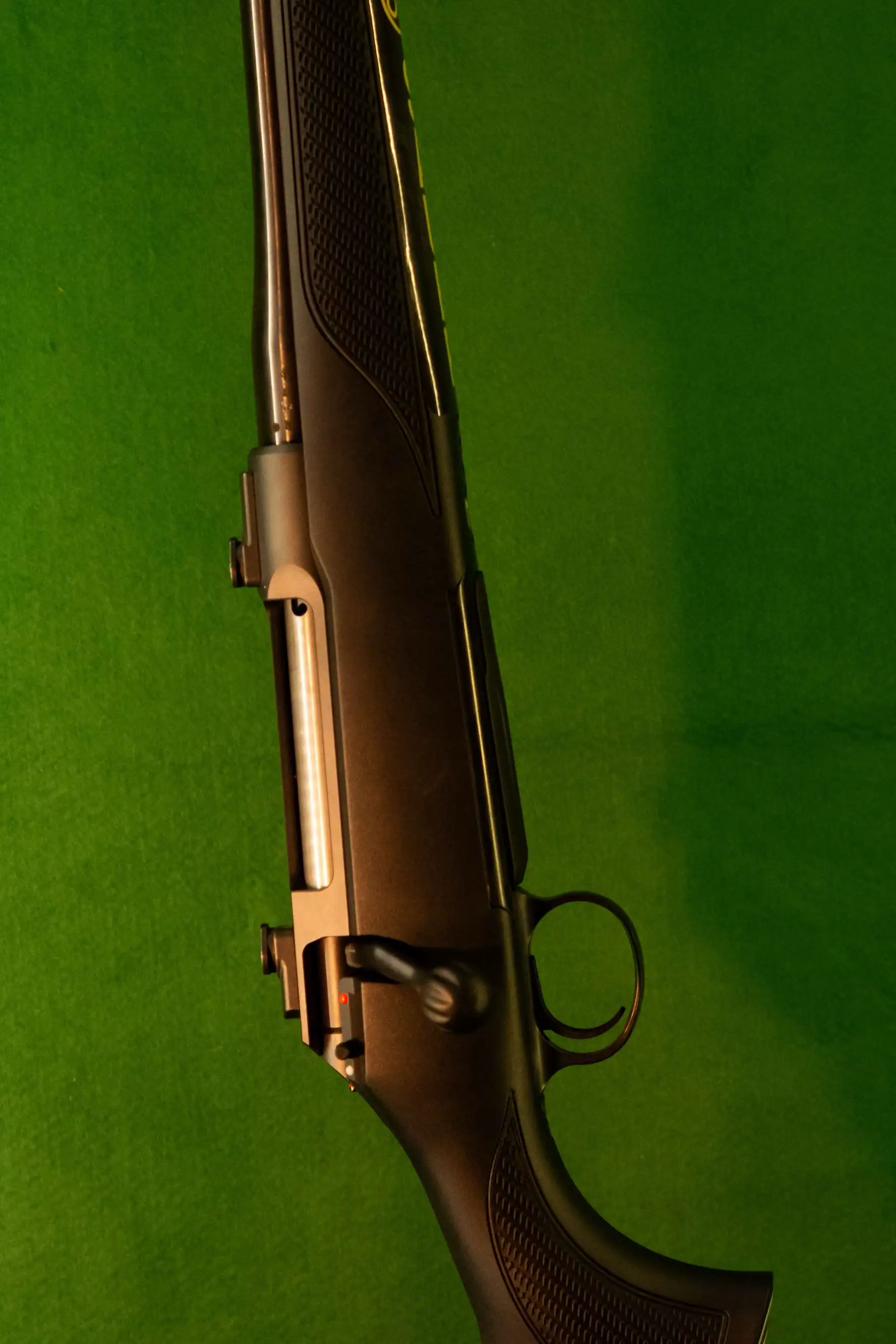 Sauer 100