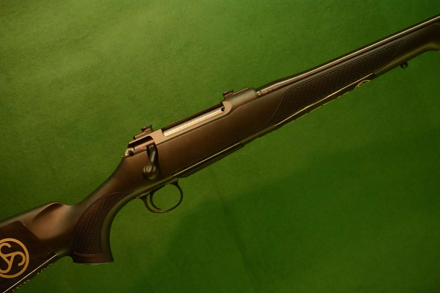 Sauer 100