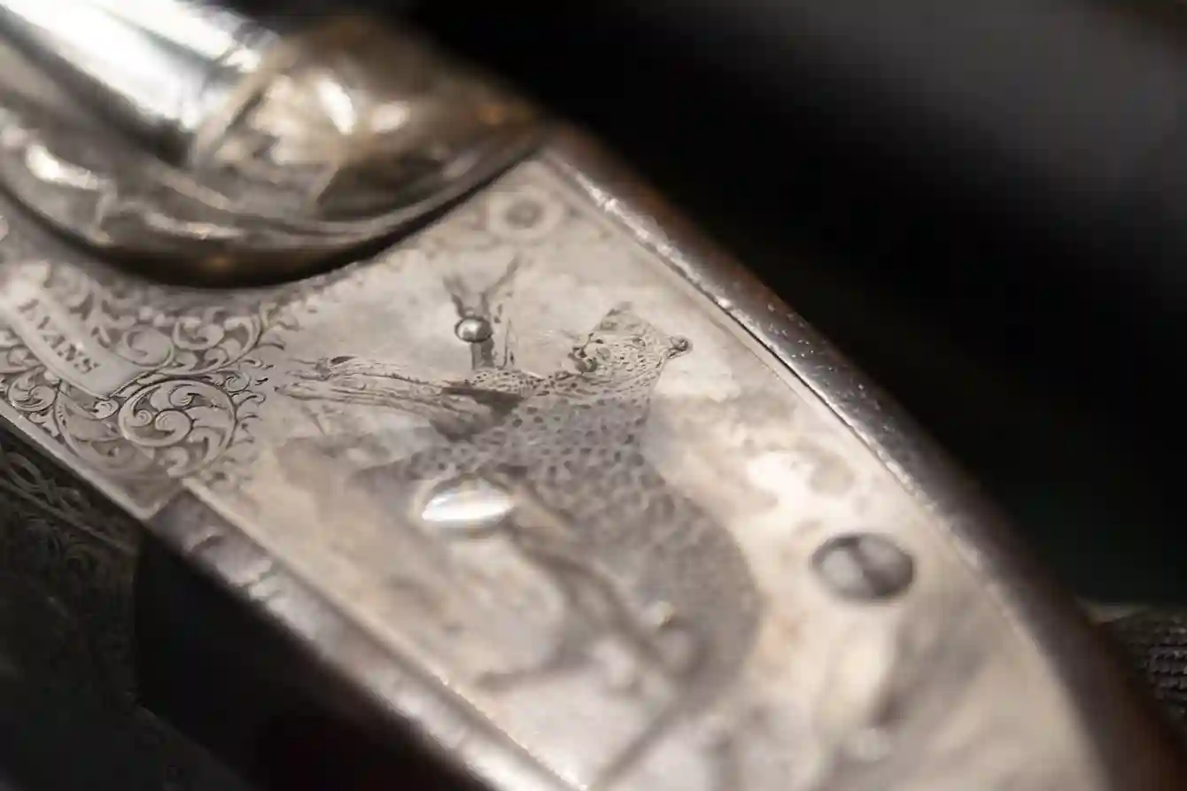 Gun_Image