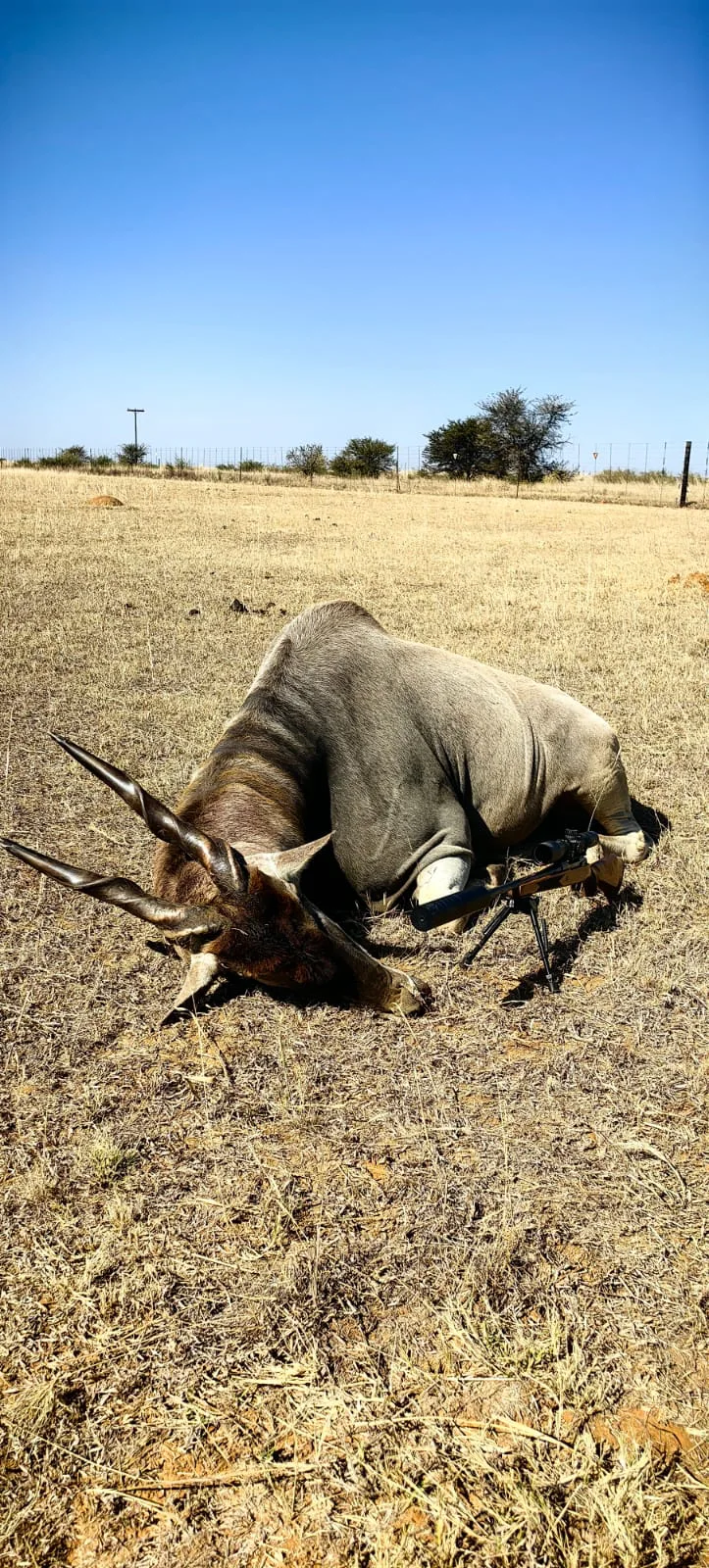 Hunting Experience in the Kalahari Desert