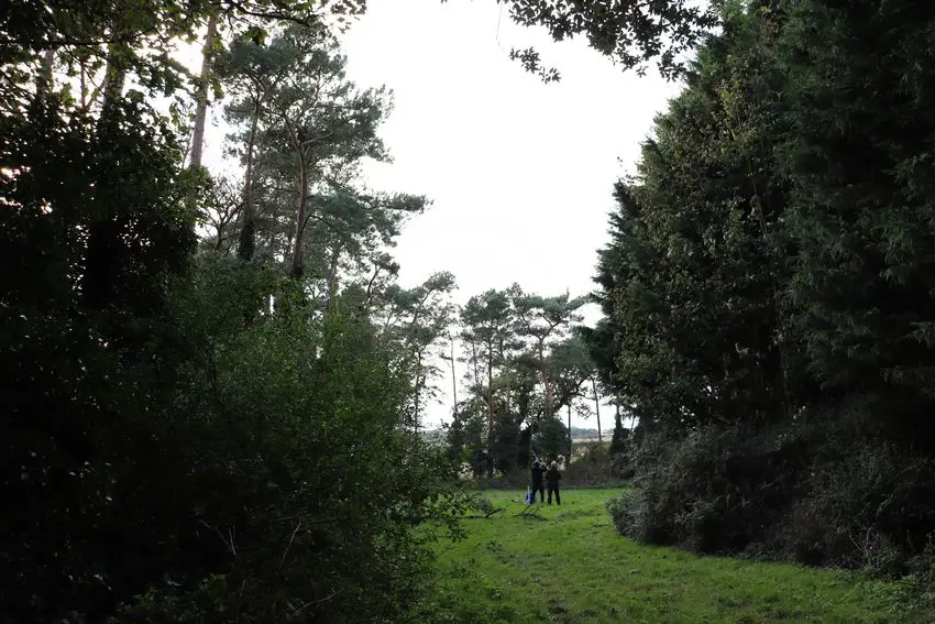 Partridge shooting in Norfolk