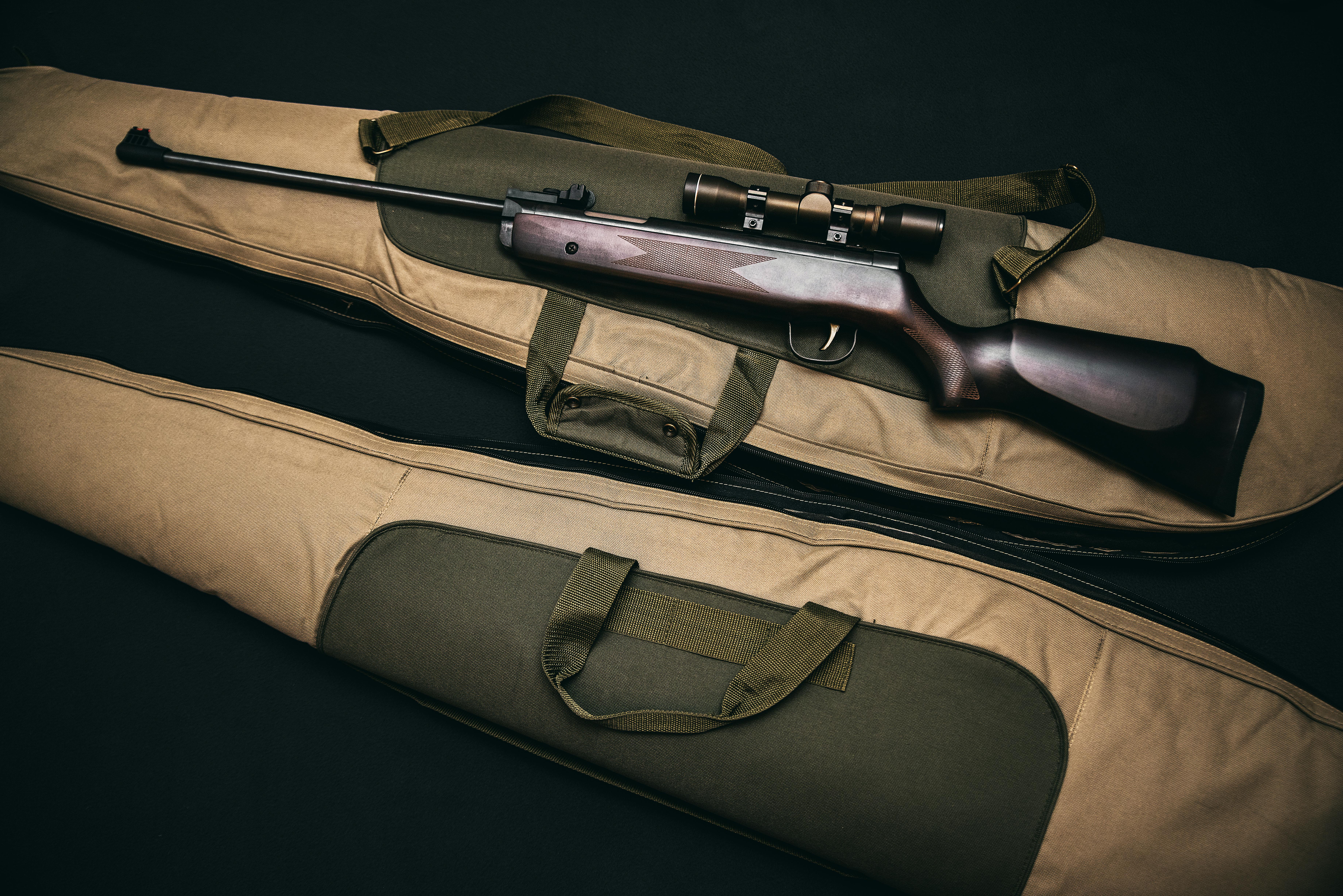 Gun_Image