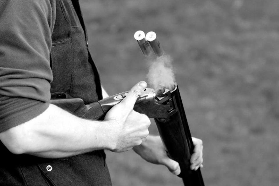 Gun_Image