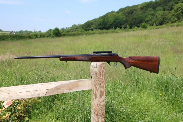 Gun_Image