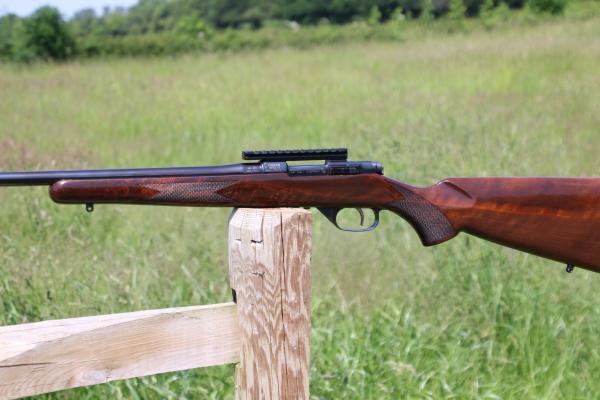 Gun_Image