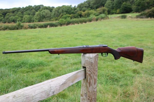 Gun_Image
