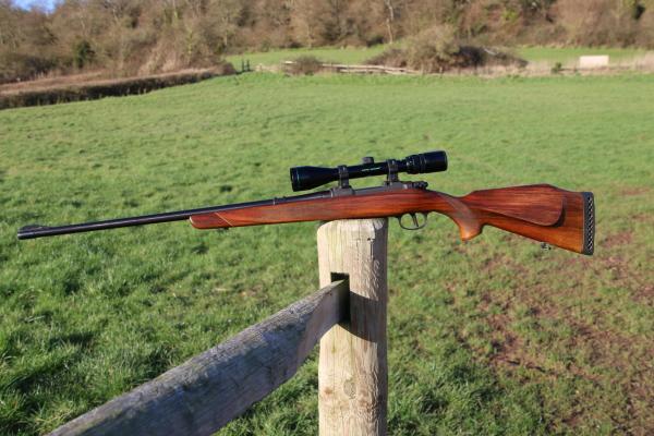 Gun_Image