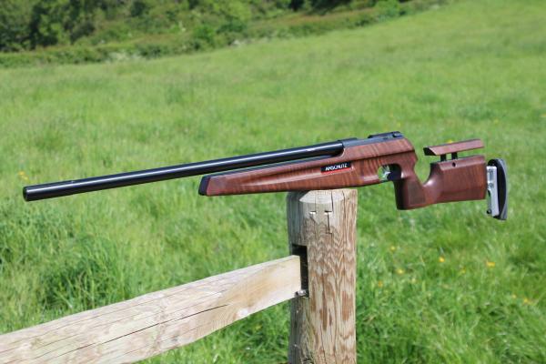 Gun_Image
