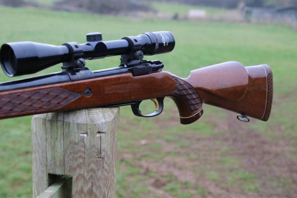 Gun_Image