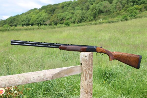 Gun_Image