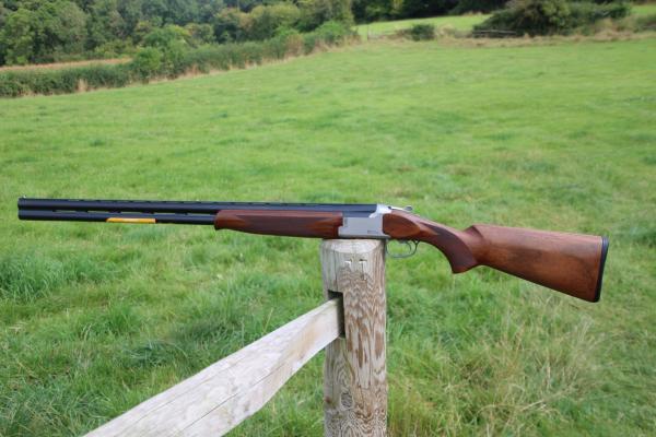 Gun_Image