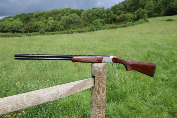 Gun_Image