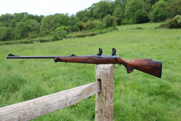 Gun_Image
