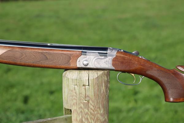 Gun_Image