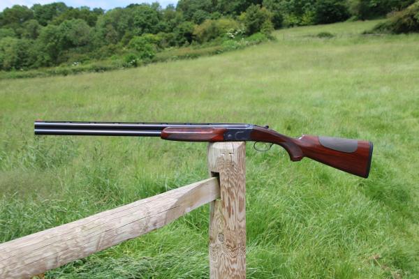 Gun_Image