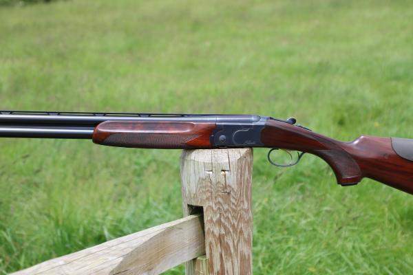 Gun_Image