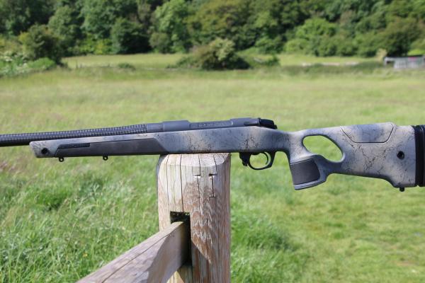 Gun_Image