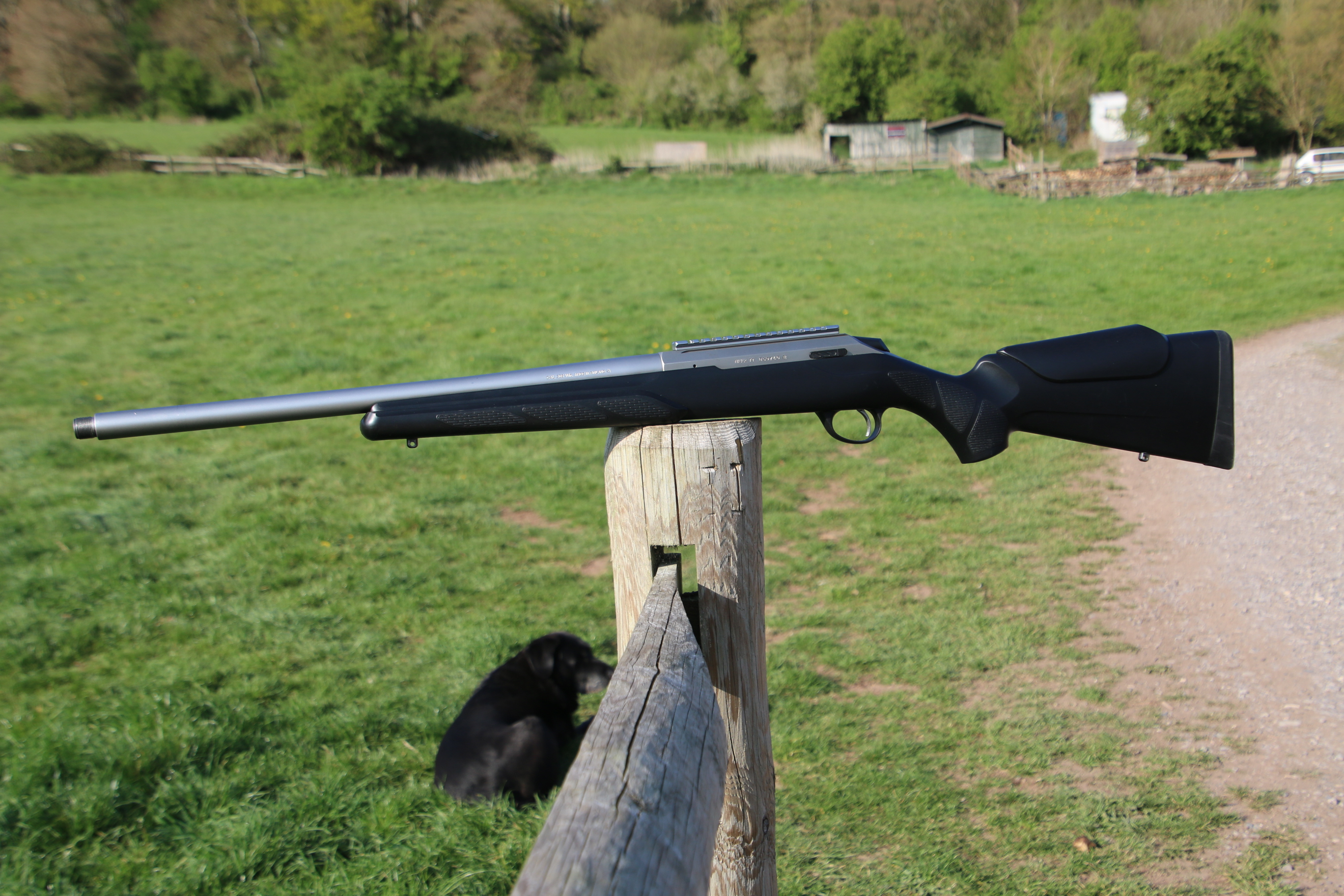Gun_Image