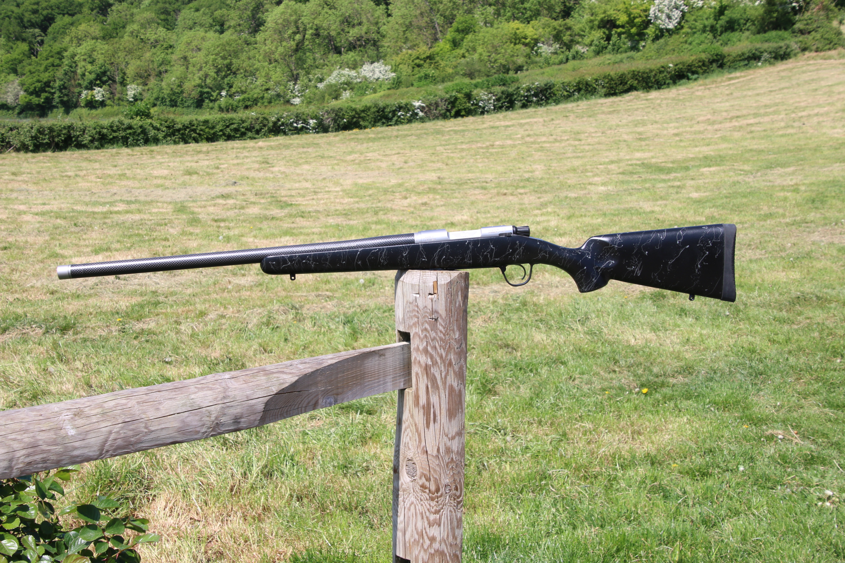 Gun_Image