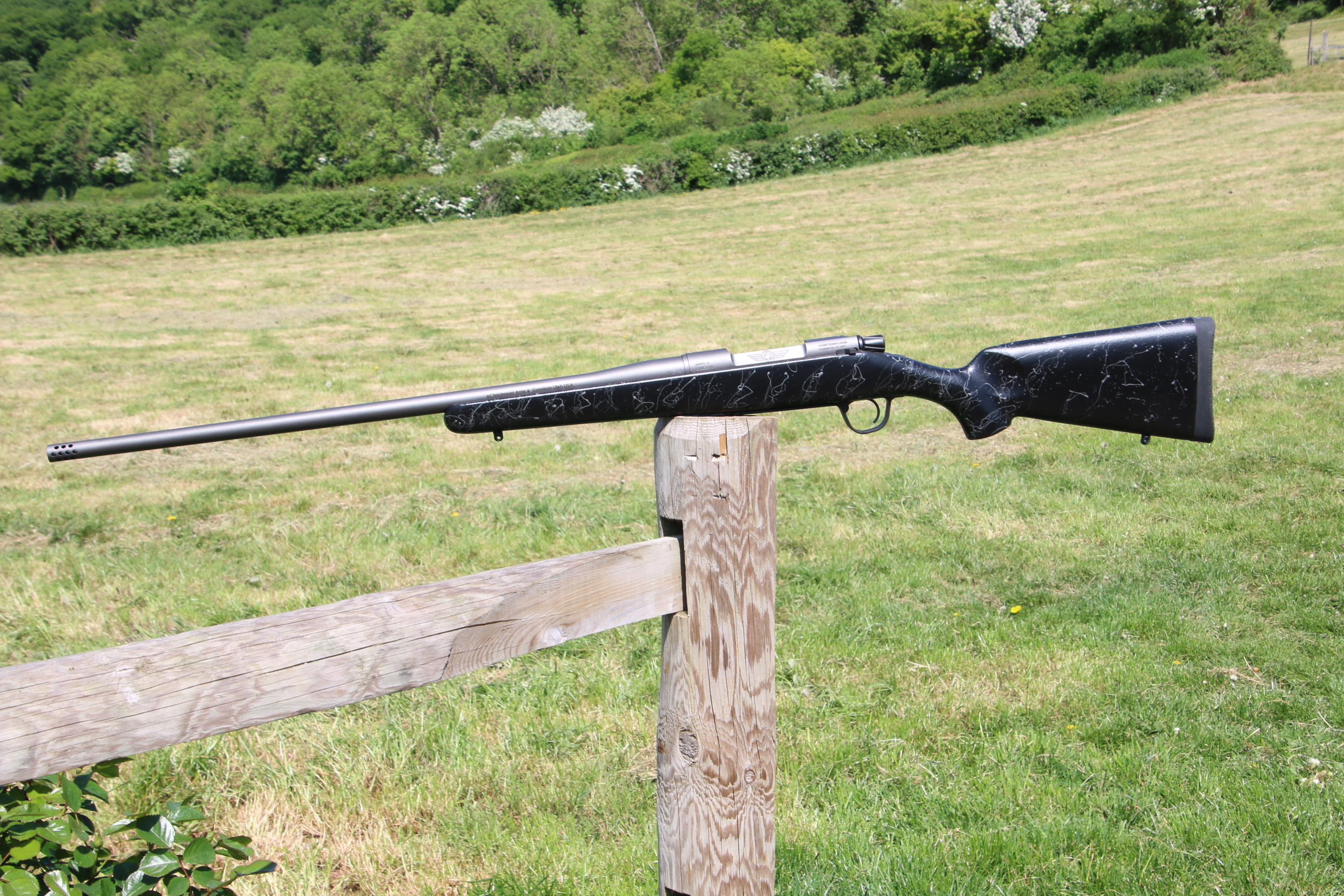 Gun_Image