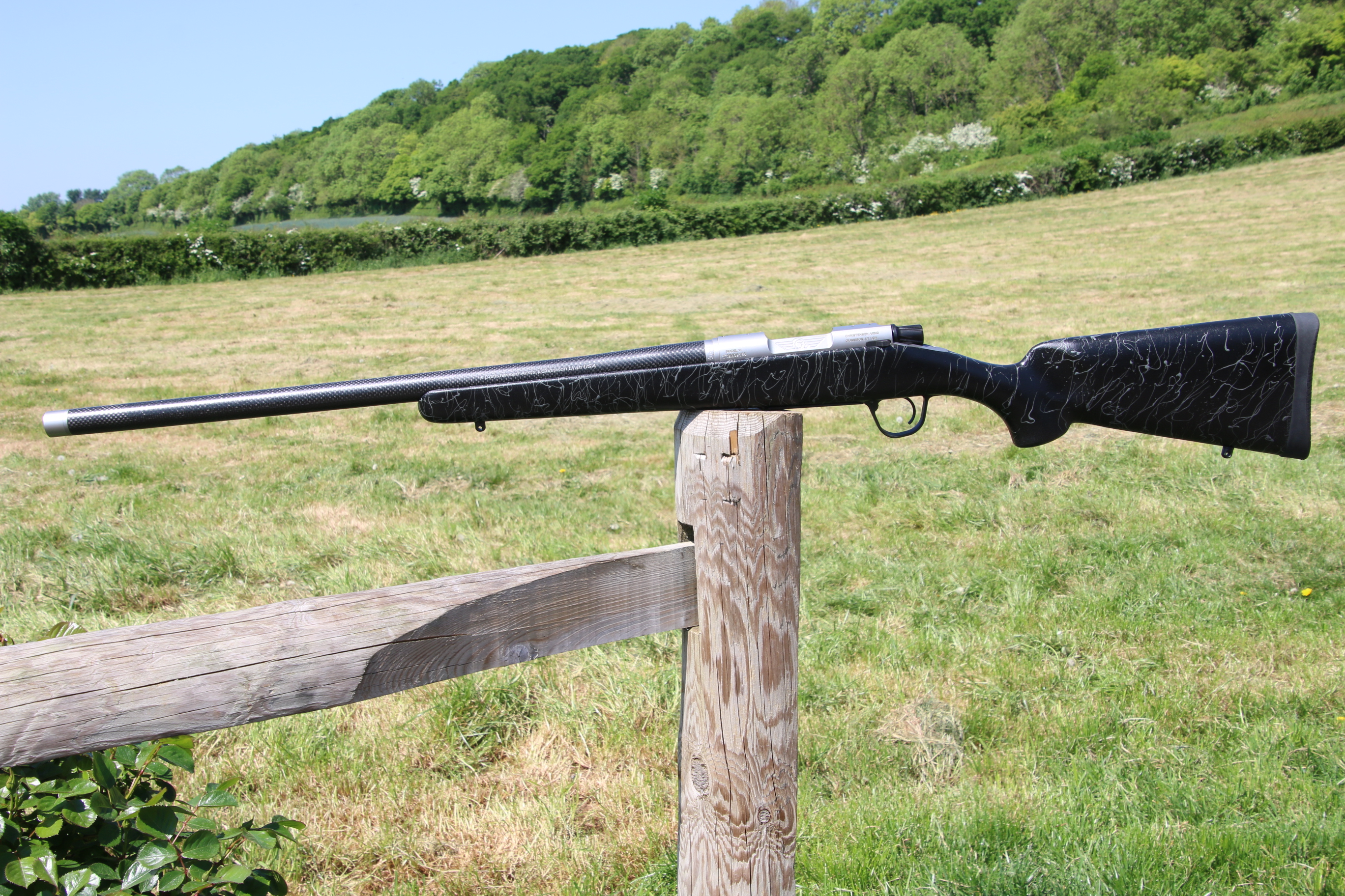 Gun_Image