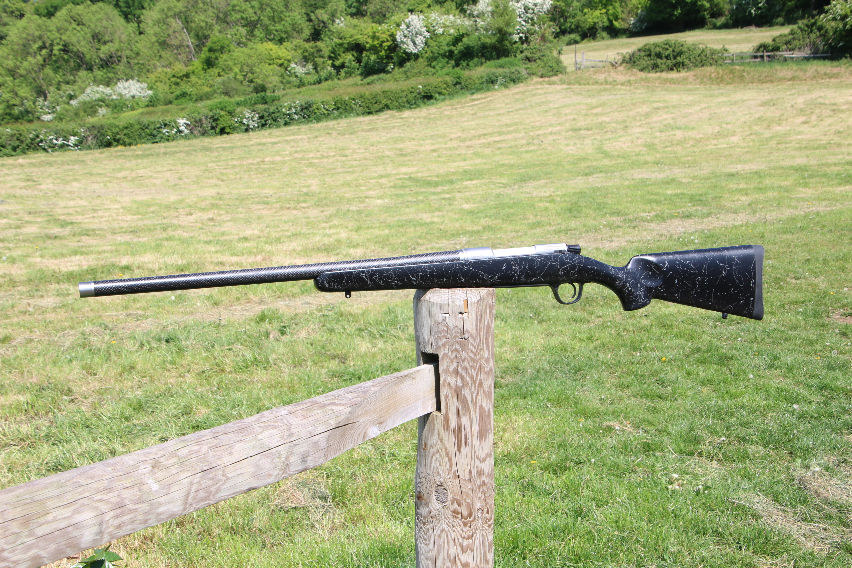 Gun_Image