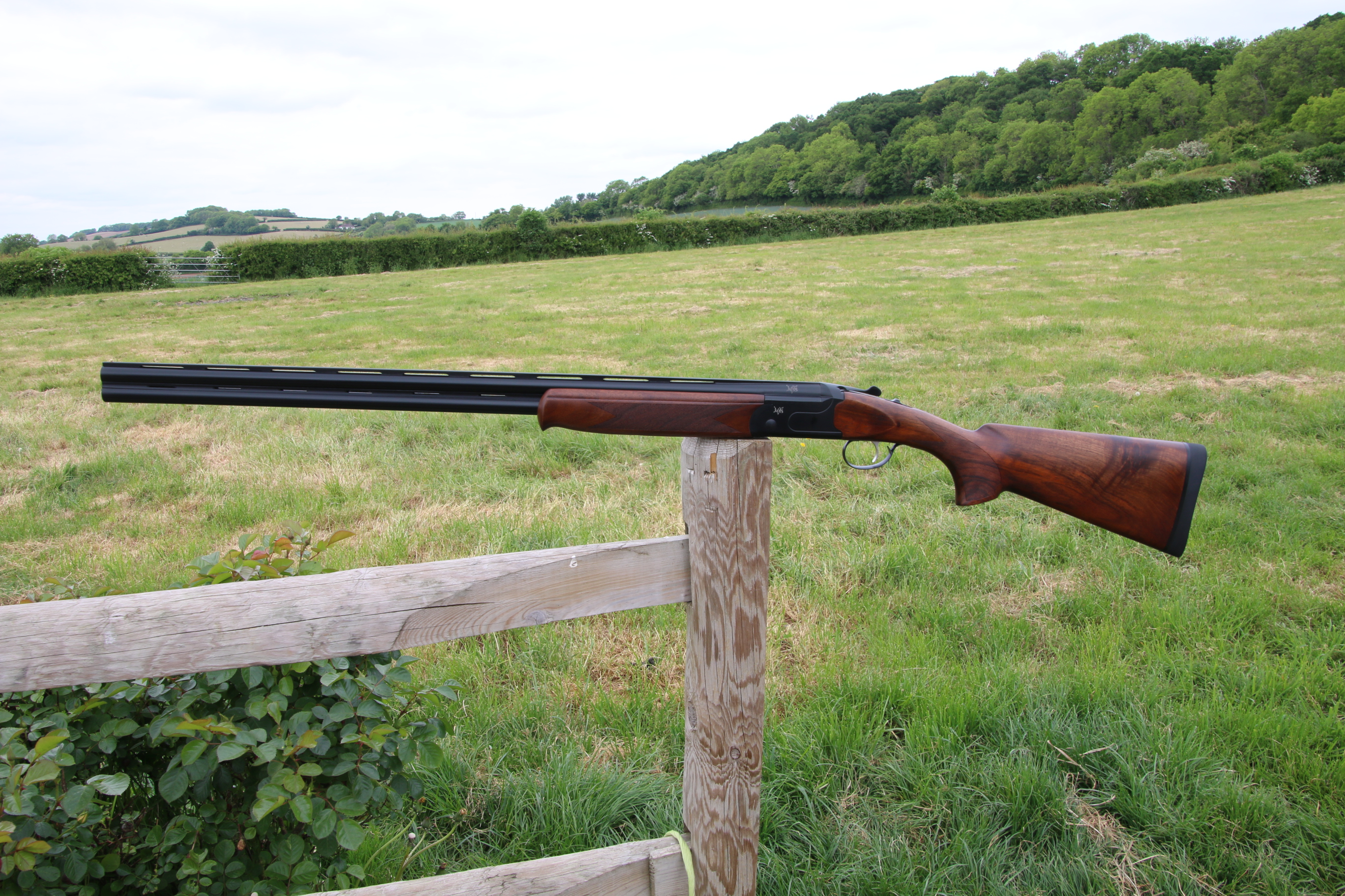 Gun_Image