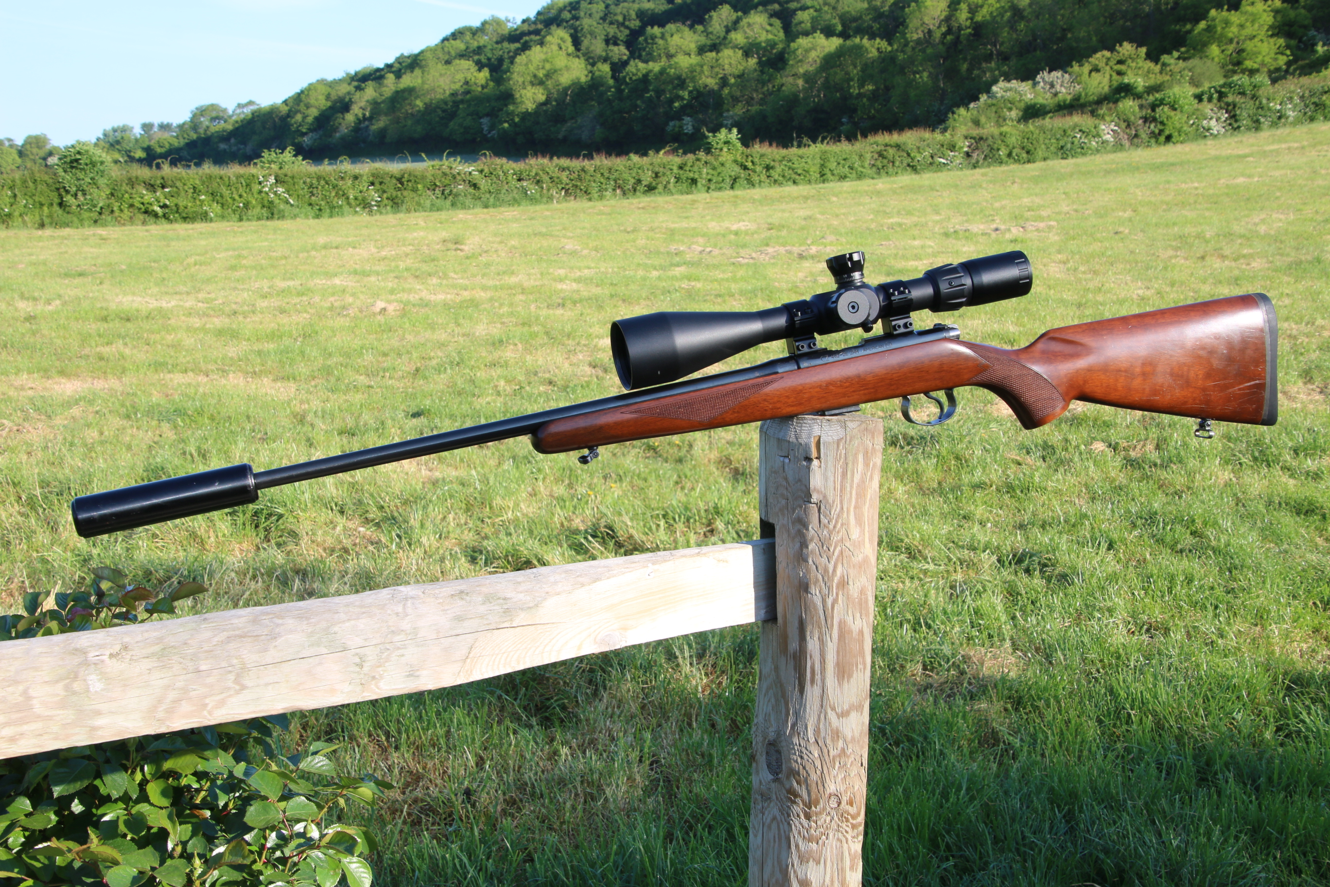 Gun_Image