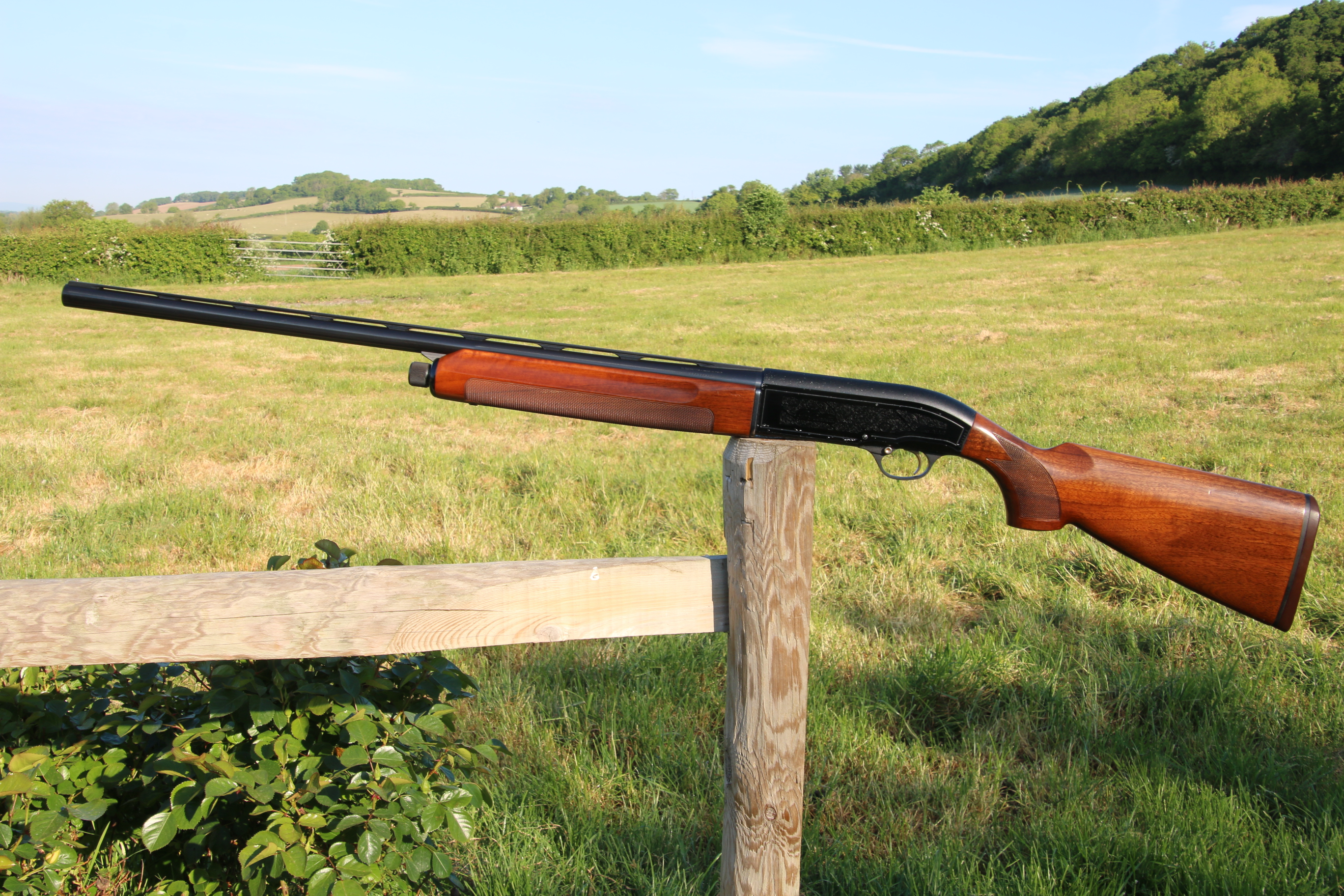Gun_Image