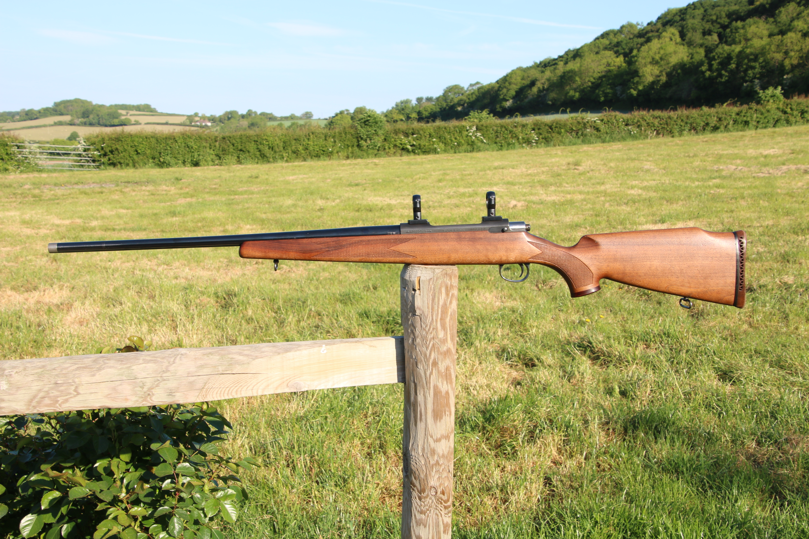 Gun_Image