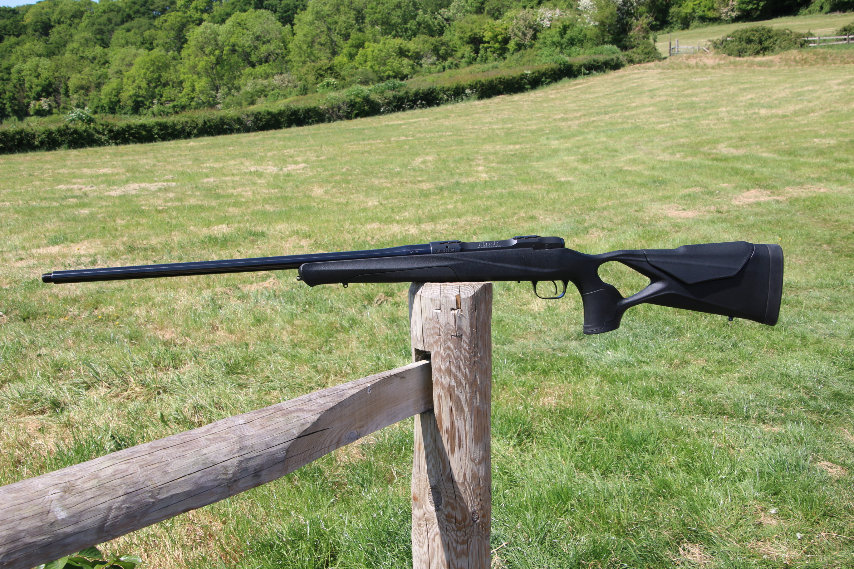 Gun_Image