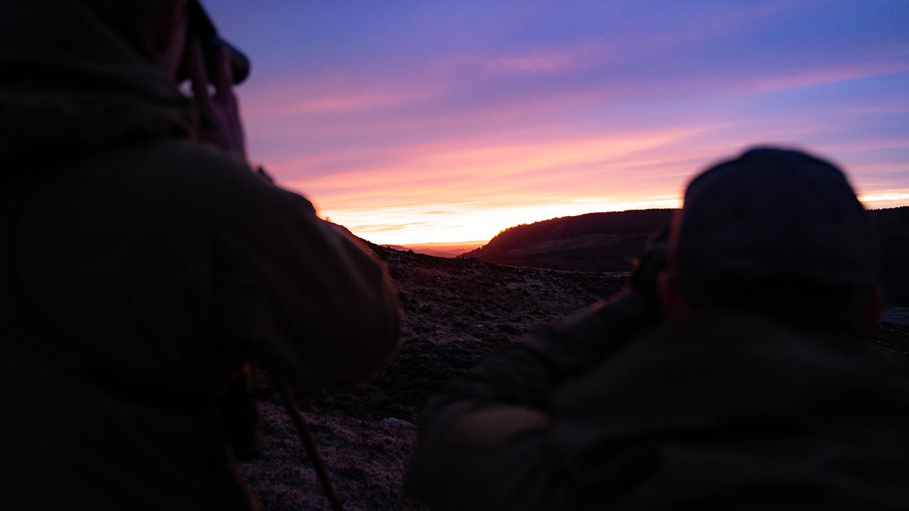 Simulated Stalking with NewAvon Arms