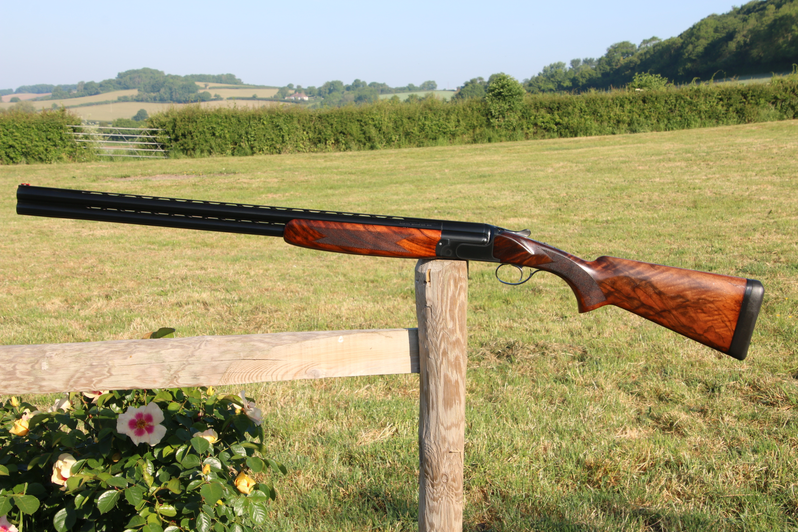 Gun_Image