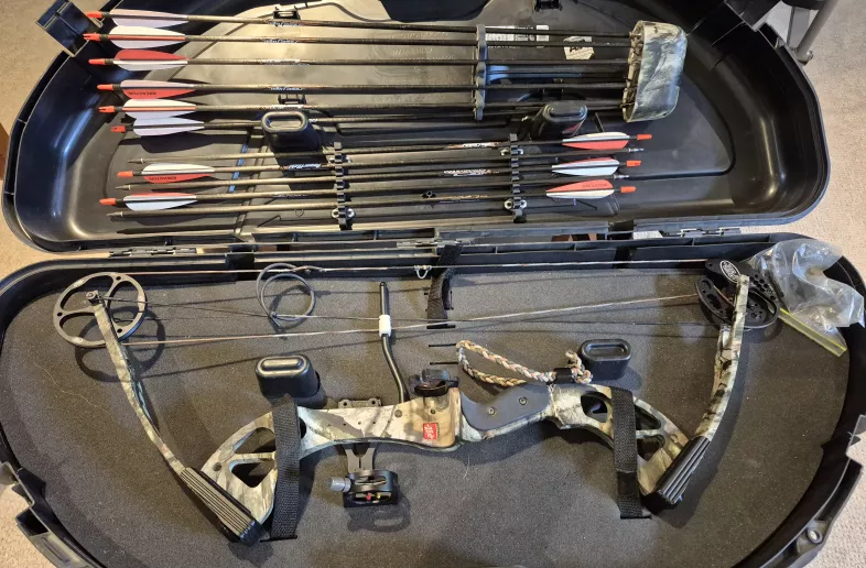 Firearm: Beretta Bows 