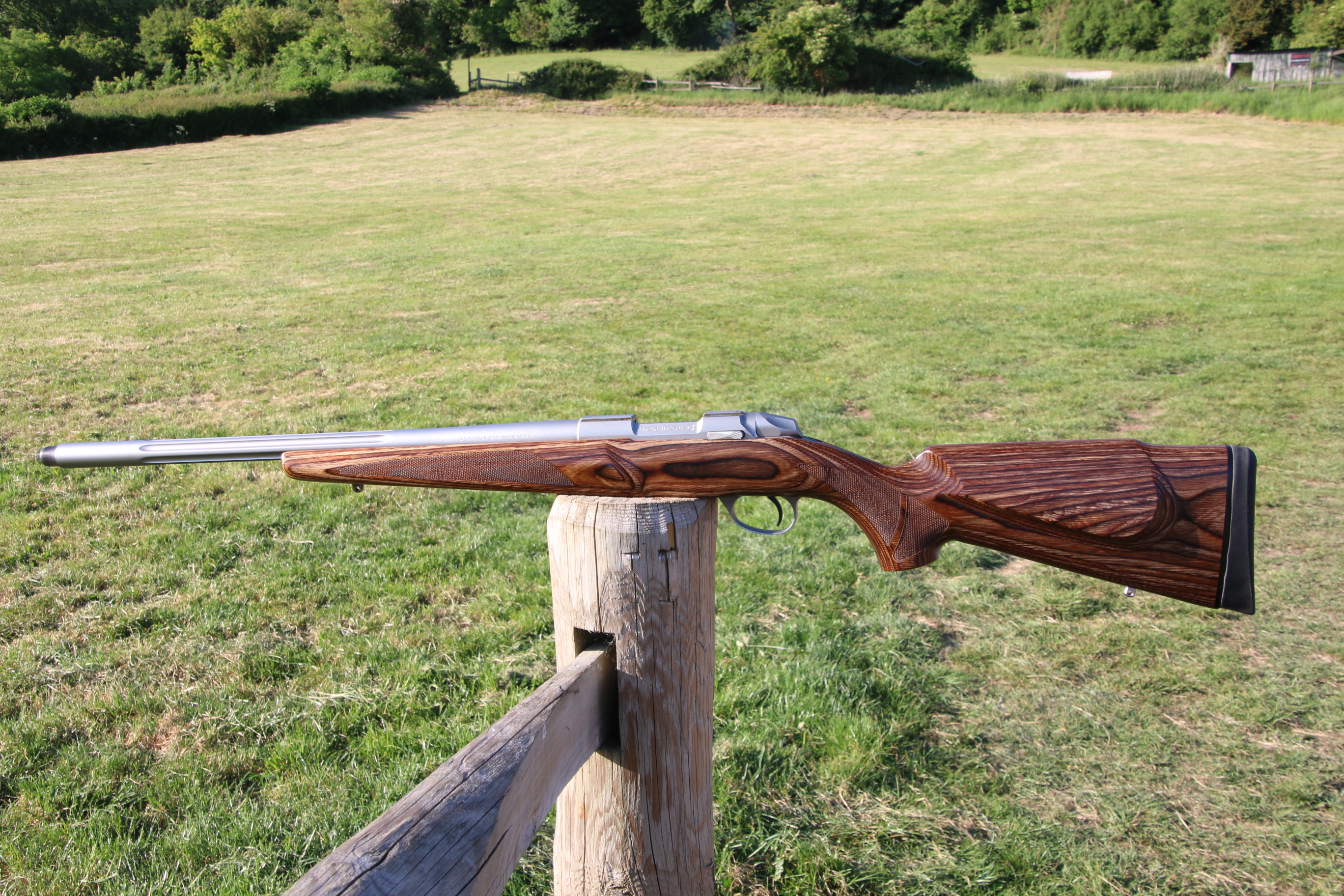 Gun_Image