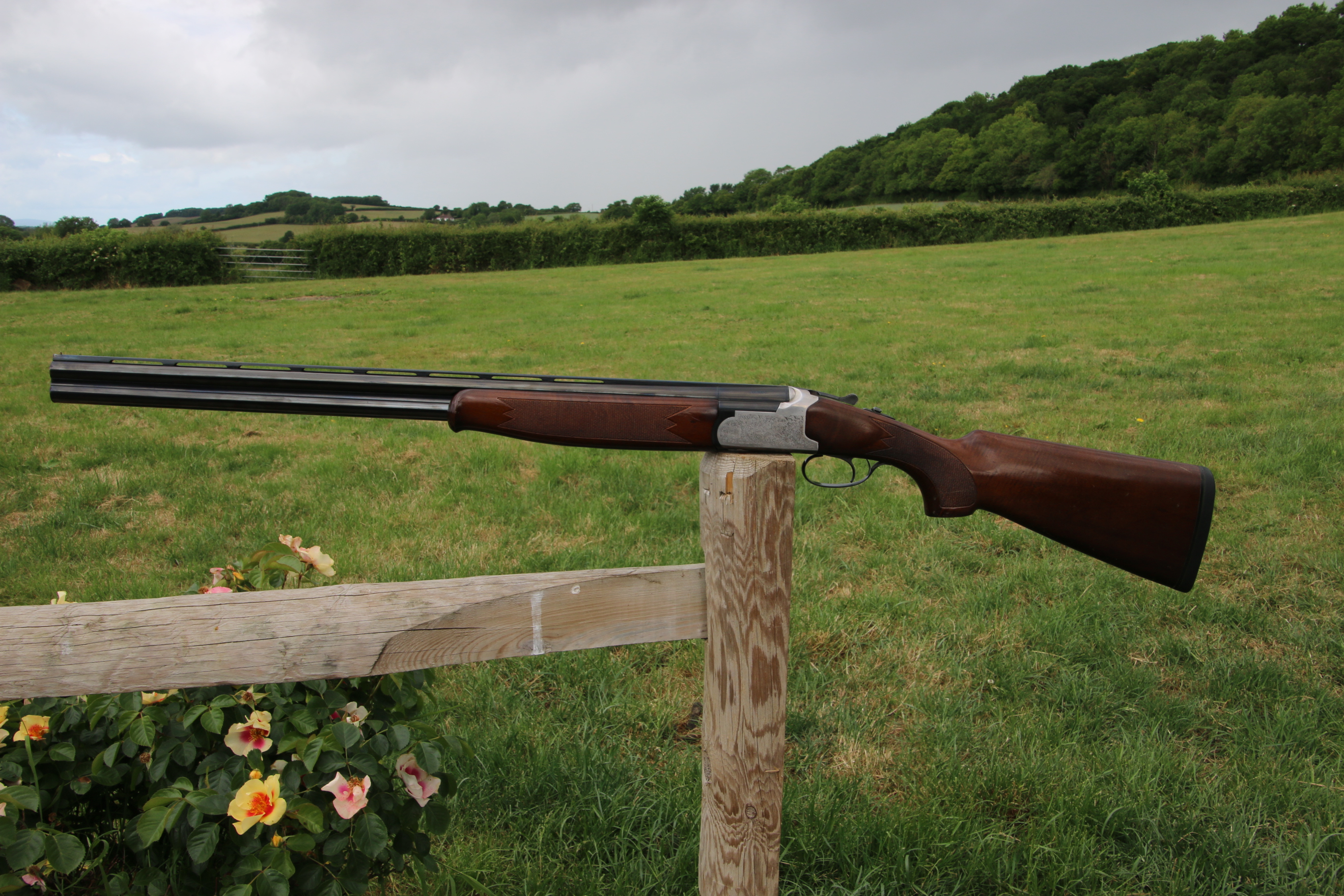 Gun_Image