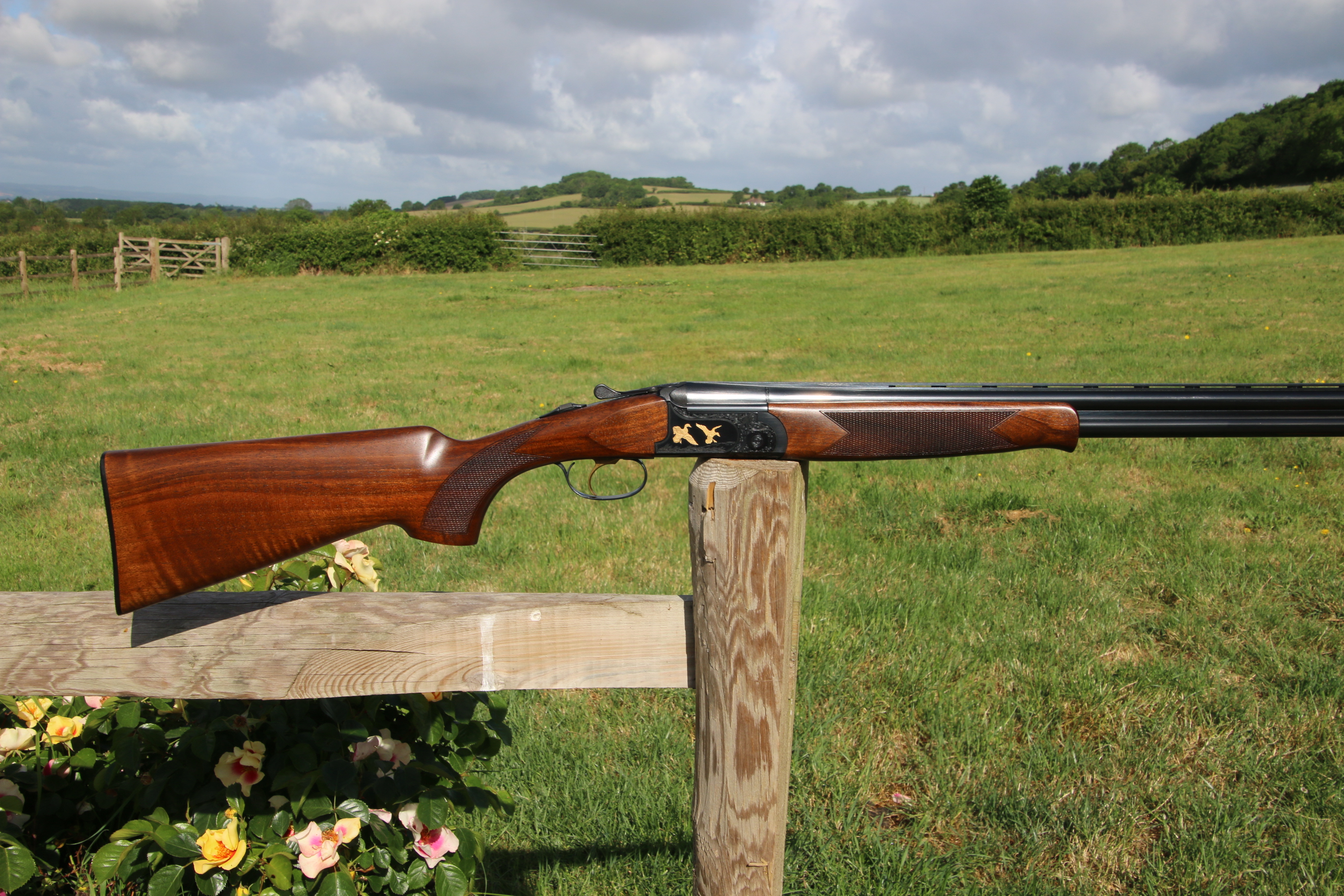 Gun_Image