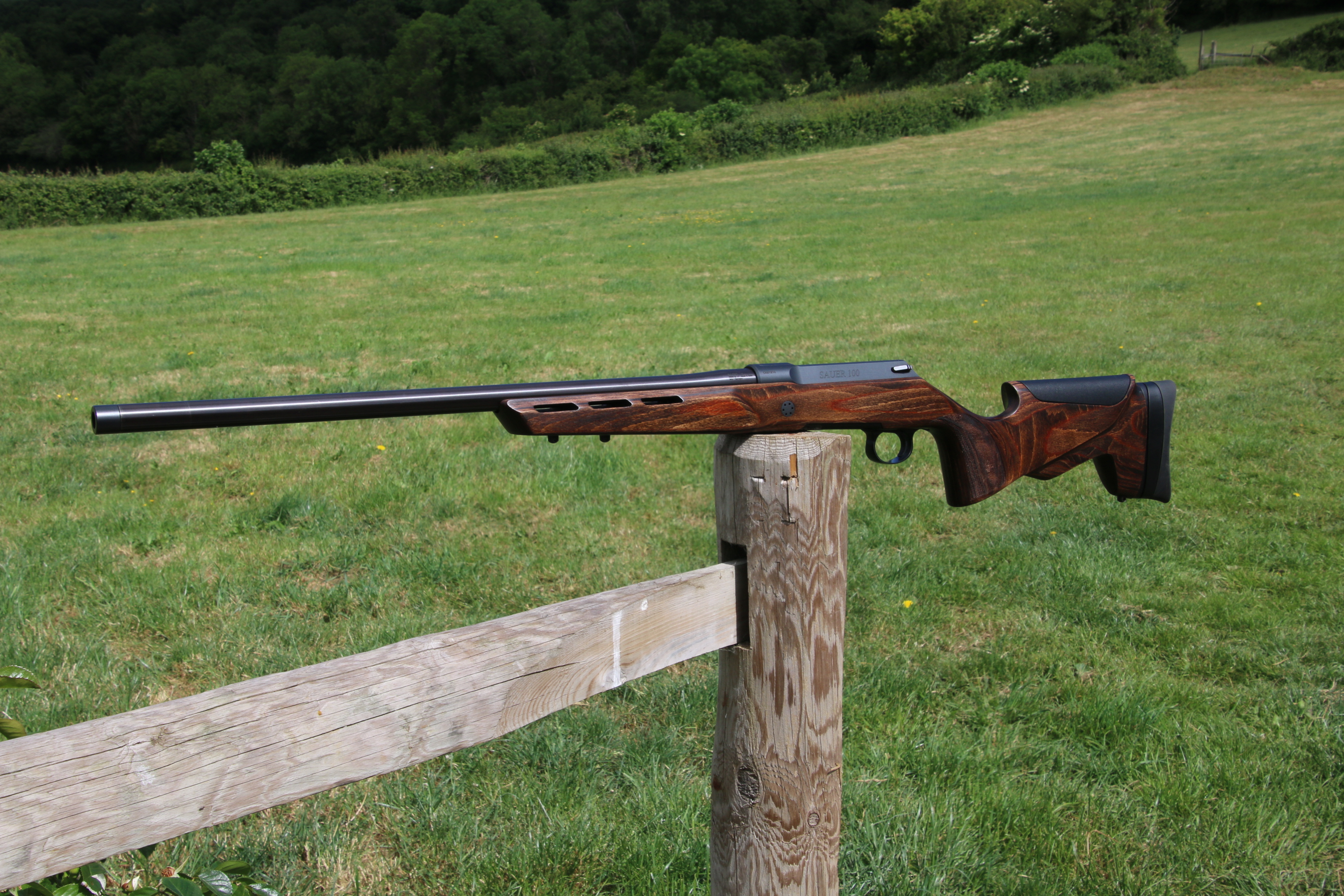 Gun_Image