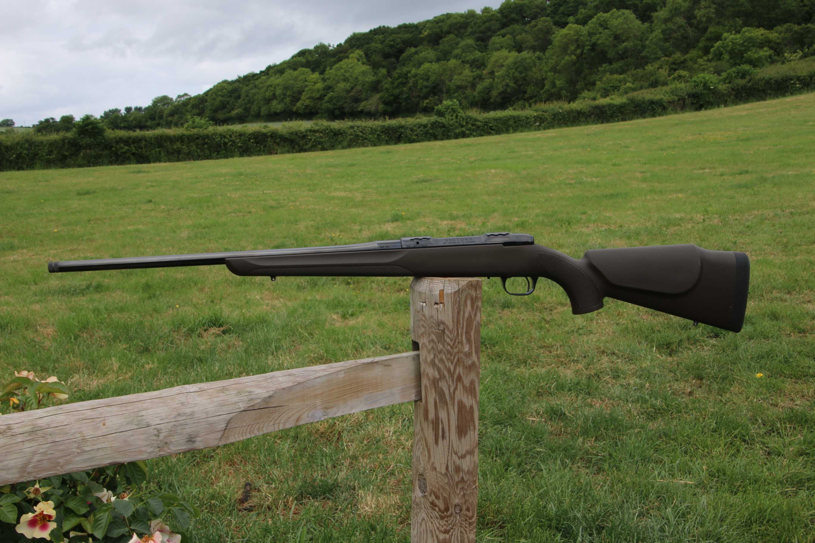 Gun_Image