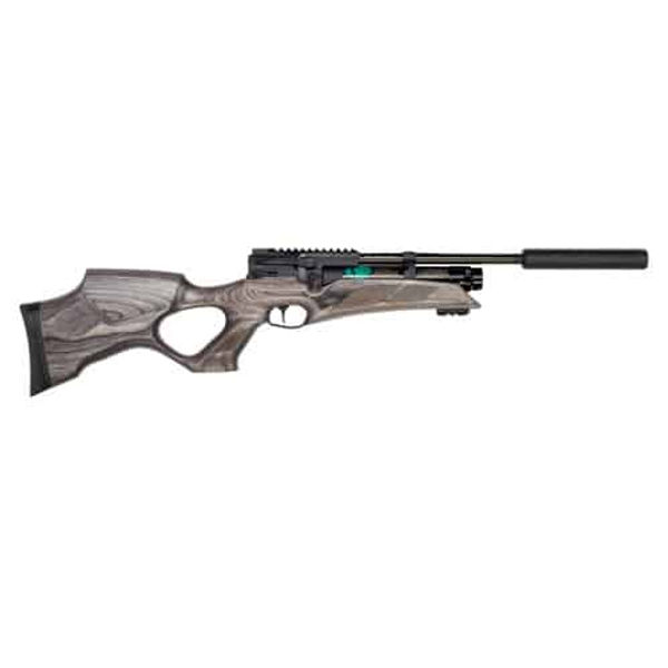Gun_Image