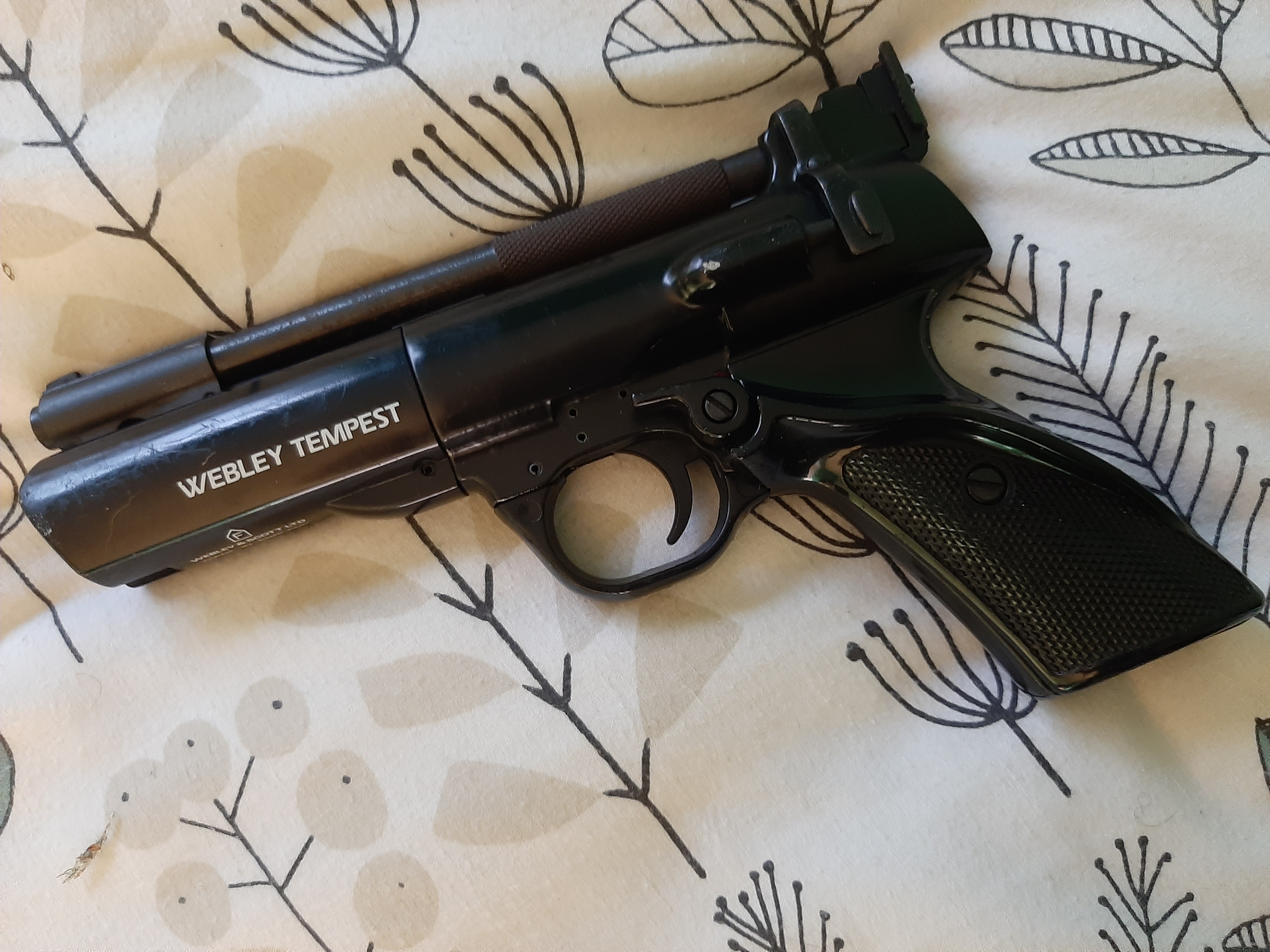 Gun_Image