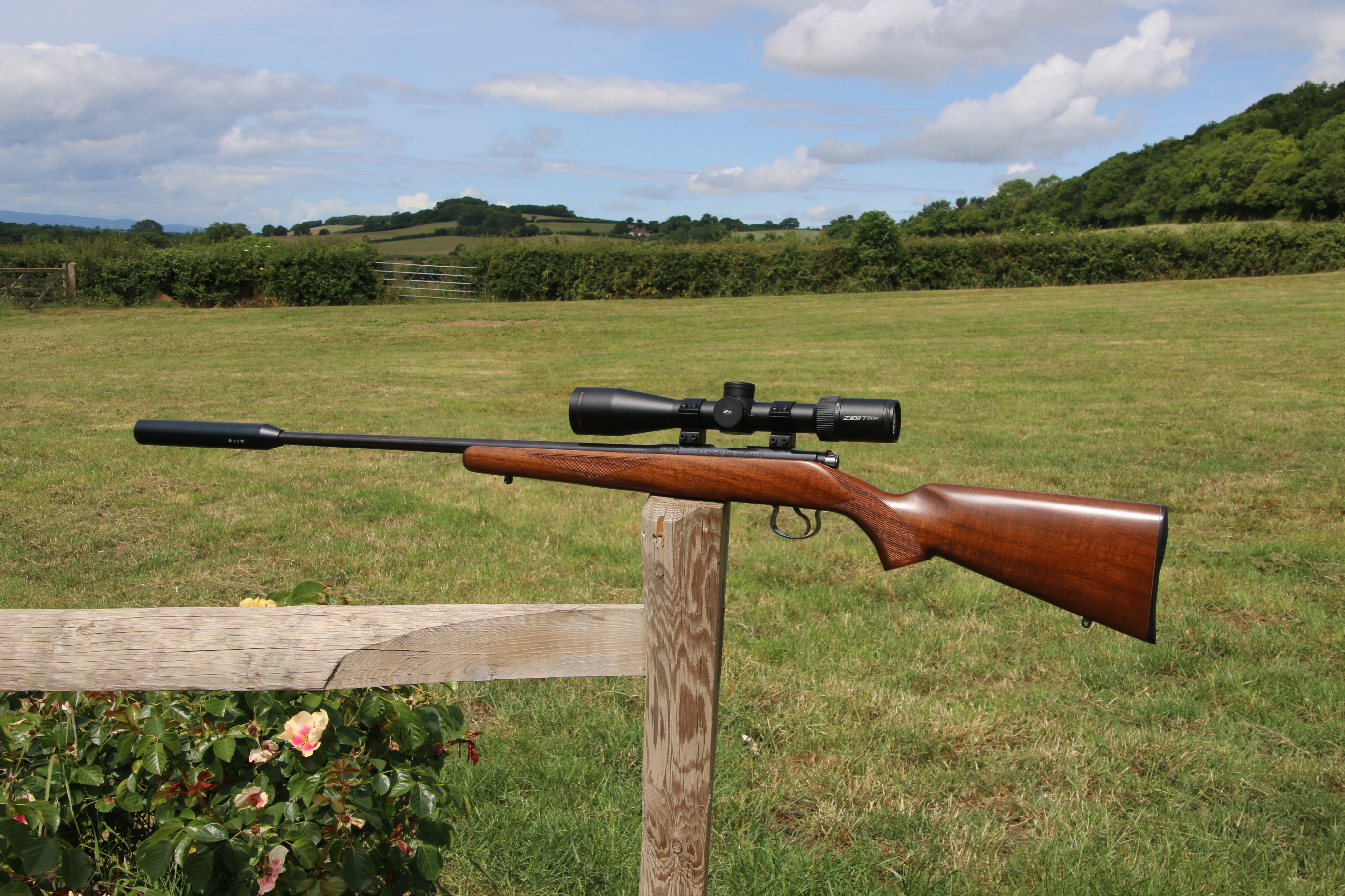 Gun_Image
