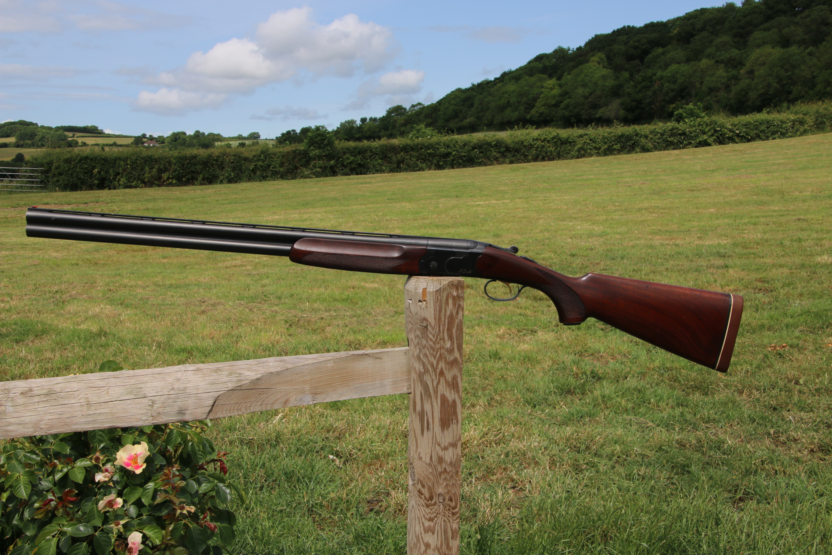 Gun_Image